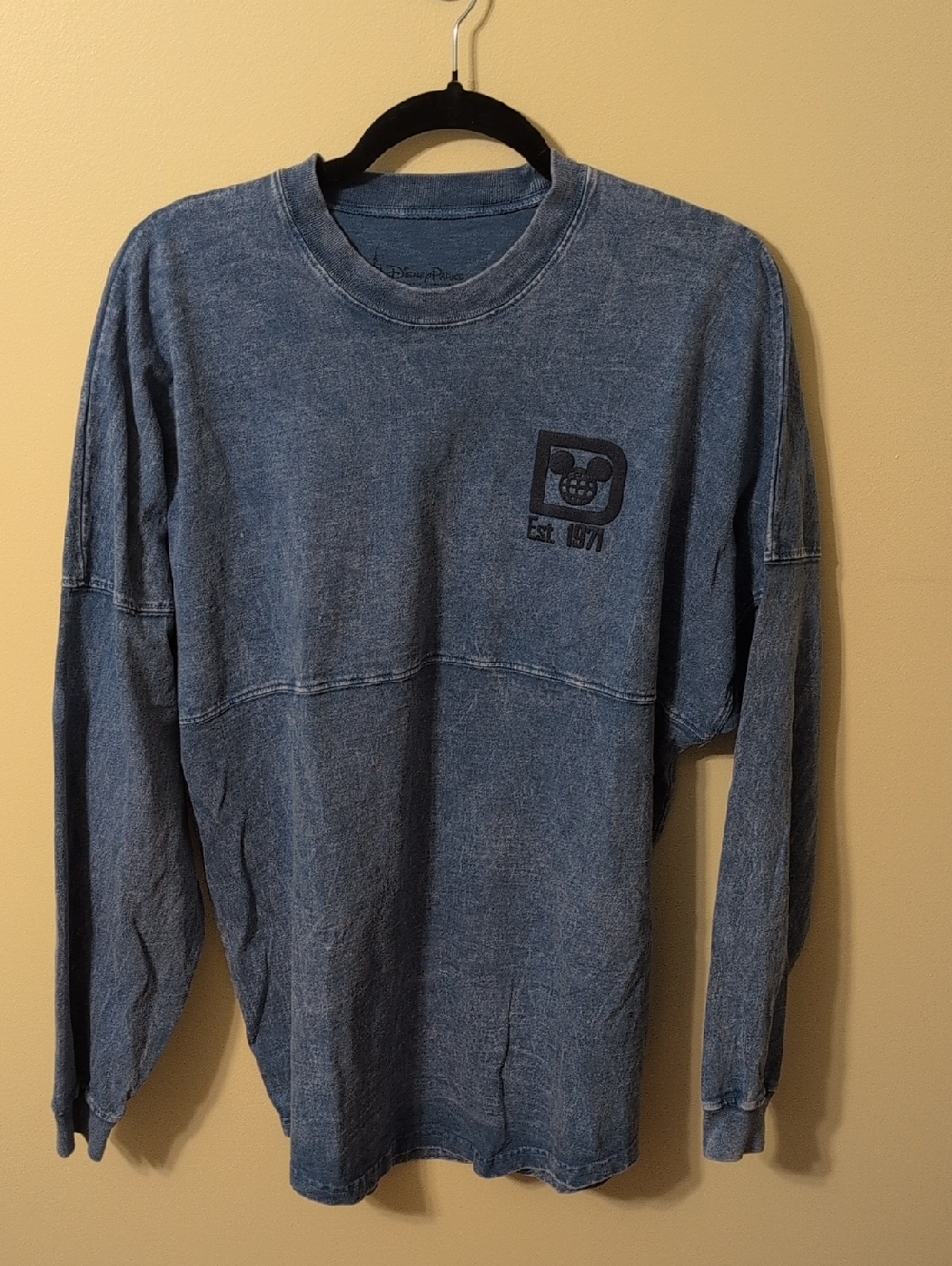 Walt Disney World Spirit Jersey